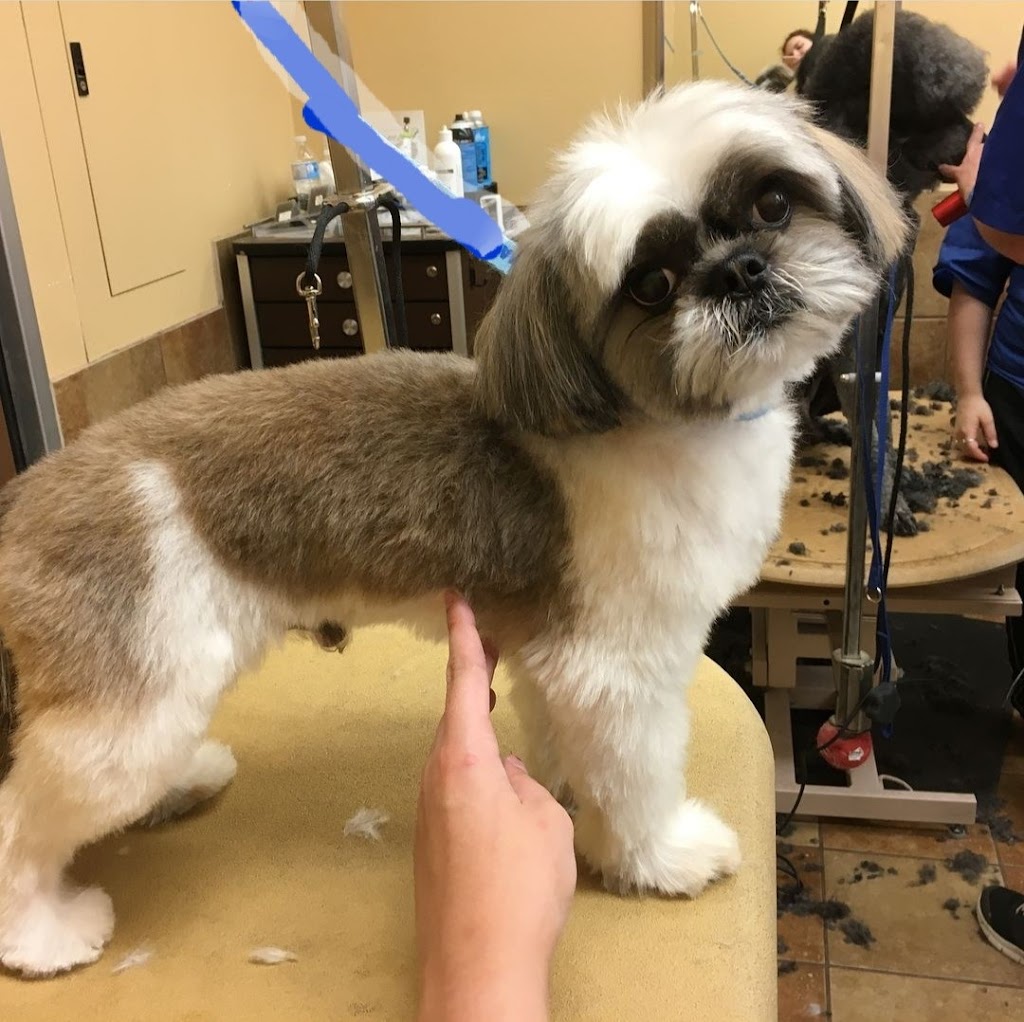 Furbegone Farm | 2309 Monck Rd, Bancroft, ON K0L 1C0, Canada | Phone: (613) 334-5037