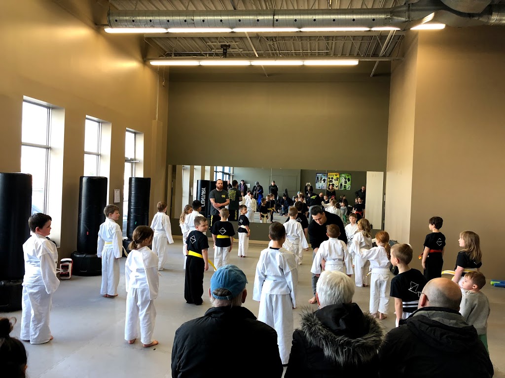Premier Martial Arts | 71 Charing Cross St, Brantford, ON N3R 2H4, Canada | Phone: (519) 304-6777