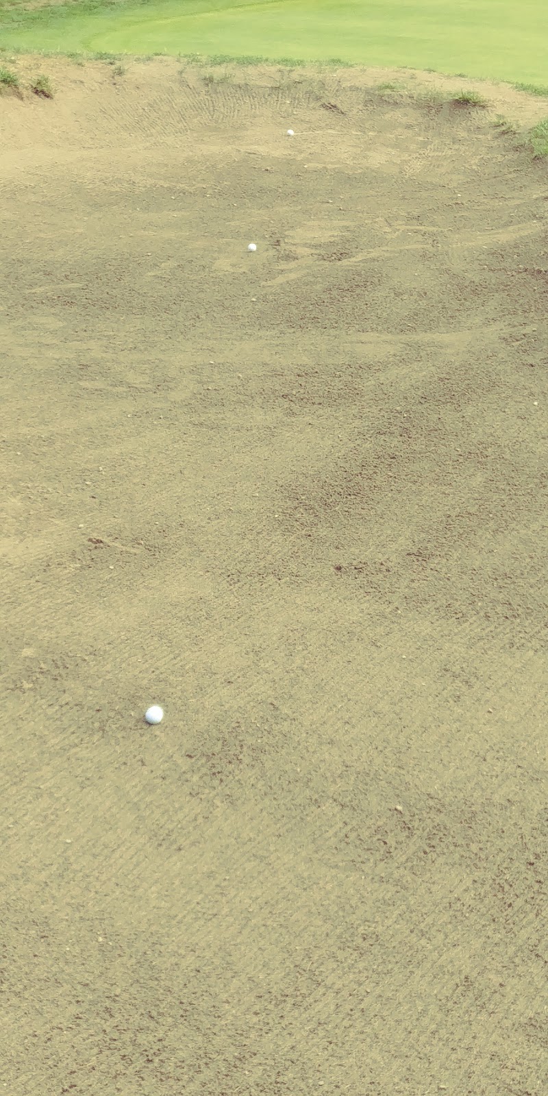 Cottonwood Golf Course | 1975 Haslam Rd, Nanaimo, BC V9X 1T1, Canada | Phone: (250) 245-5157