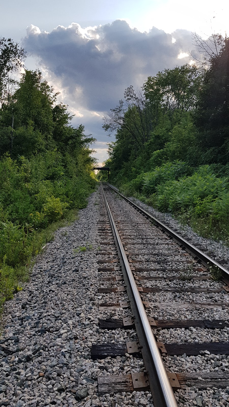 Limehouse Conservation Area | 12169 5th Line, Limehouse, ON L0P 1H0, Canada | Phone: (905) 670-1615