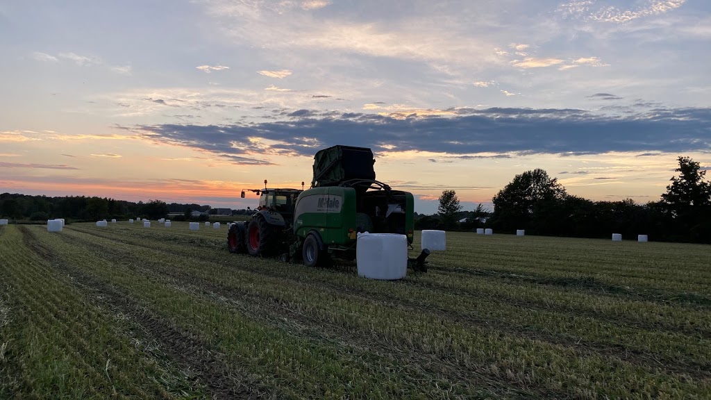 Burkharts Custom Farming | 2892 Hackbart Rd, St. Clements, ON N0B 2M0, Canada | Phone: (519) 635-4542