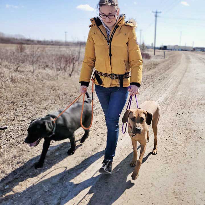ALLAY Calm Canine | Wellink Dr, East Selkirk, MB R0E 0M0, Canada | Phone: (204) 485-5117