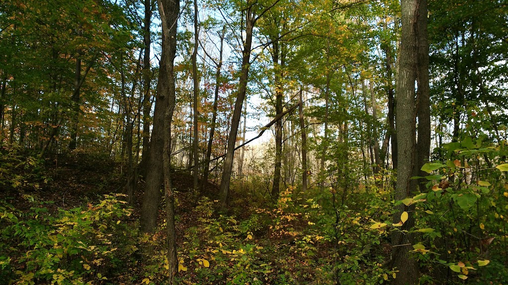 Perch Creek Habitat Area | 1838-1902 Churchill Line, Sarnia, ON N7T 7H3, Canada