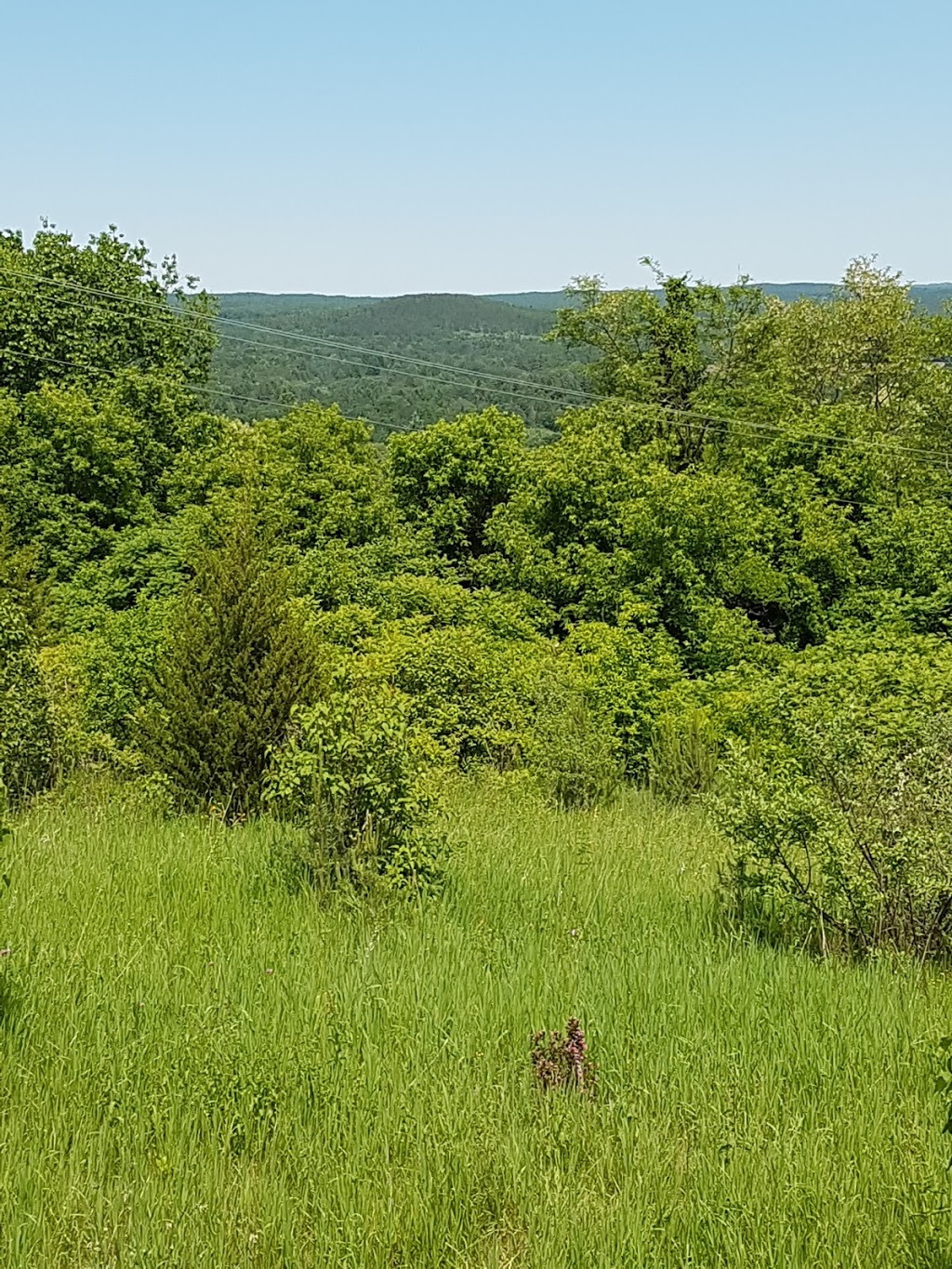 Richardsons Lookout Conservation Area | Ganaraska Rd, Campbellcroft, ON L0A 1B0, Canada | Phone: (905) 885-8173