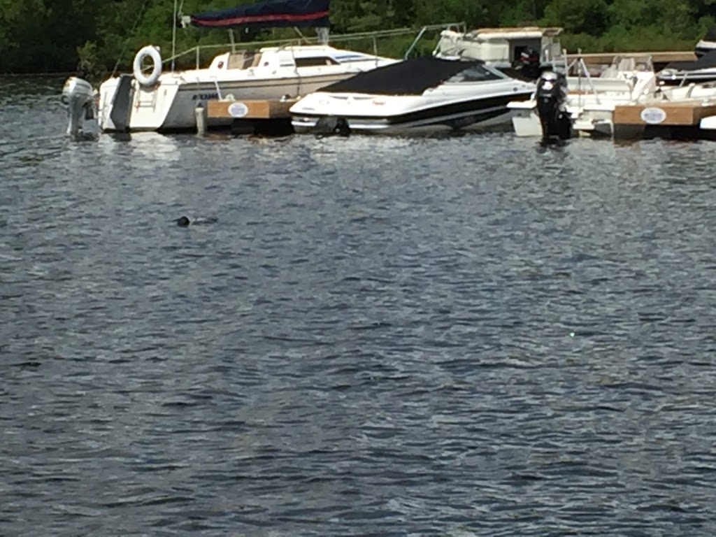Baysville Marina | 10 E Rd, Baysville, ON P0B 1A0, Canada | Phone: (705) 767-3323