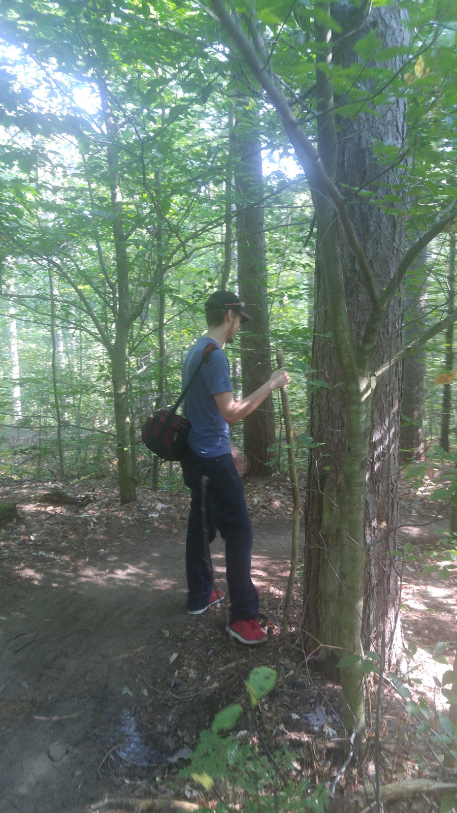 Goodwood Tract Oak Ridges Trail | Red Oak Trail, Uxbridge, ON L9P 1R4, Canada | Phone: (905) 833-6600