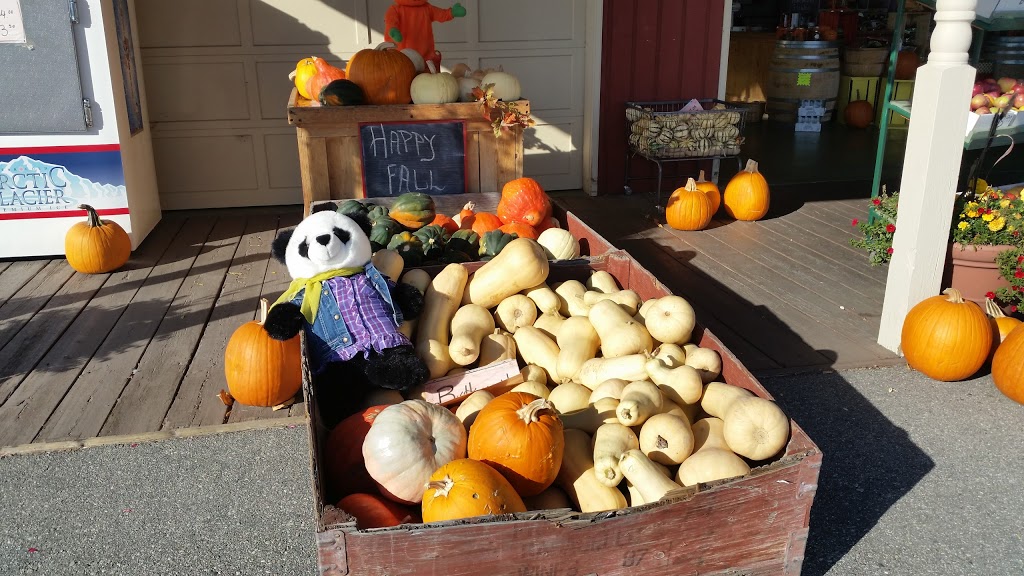 The Peach Pitt | 9701 Jones Flat Rd, Summerland, BC V0H 1Z3, Canada | Phone: (778) 516-7003