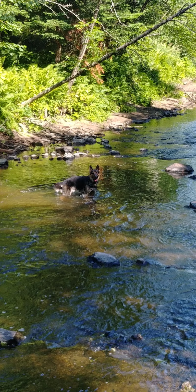 Parc régional des Grandes-Coulées | 2 Route du Plé, Plessisville, QC G0S 1T0, Canada | Phone: (819) 621-1333