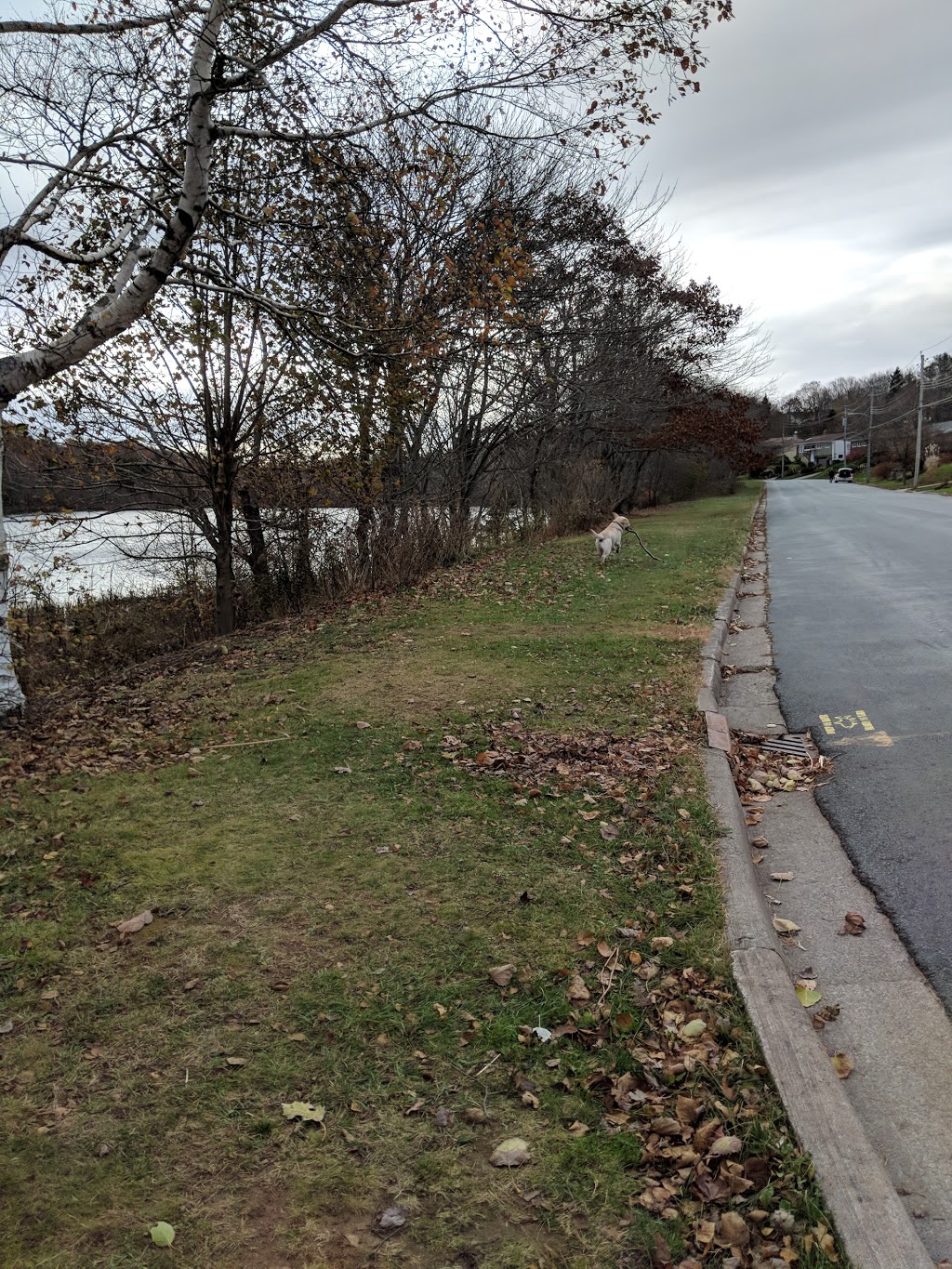Oat Hill Lake Park | Dartmouth, NS B2Y, Canada