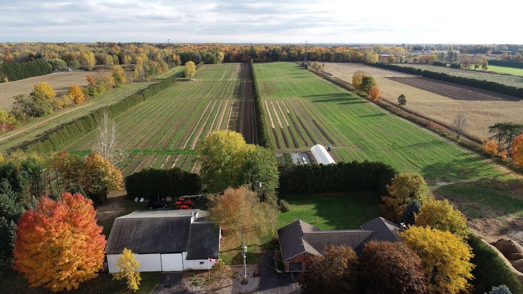 Plaid Shirt Farms Ltd | 225804 Otterville Rd, Otterville, ON N0J 1R0, Canada | Phone: (226) 321-2525
