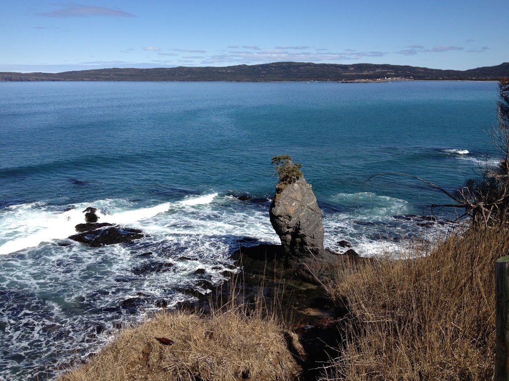Bellevue Beach Campground | 227 Main Rd, Newfoundland and Labrador A0B 1B0, Canada | Phone: (709) 442-4536