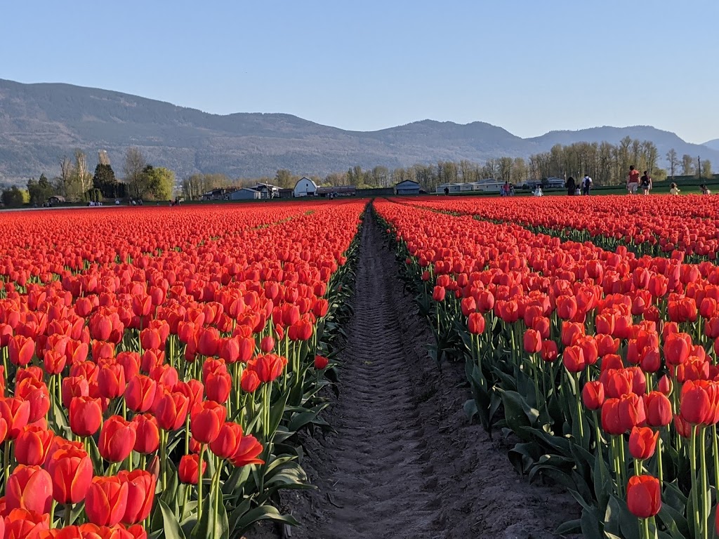 Royalwood Golf Course | 41050 Royalwood Dr, Chilliwack, BC V2R 4J1, Canada | Phone: (604) 823-4653