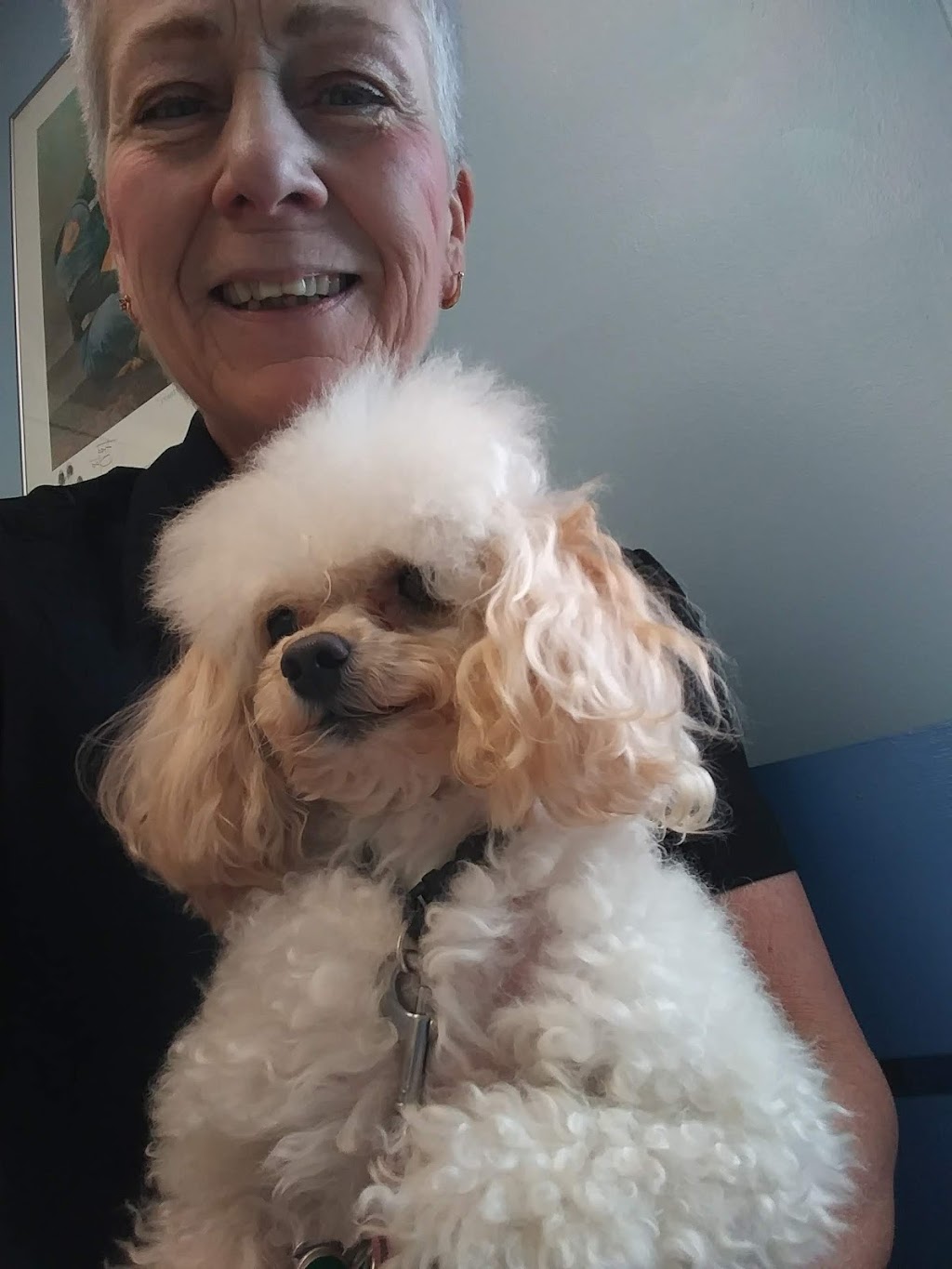 Marysville Veterinary Clinic | 1273 Gratiot Blvd, Marysville, MI 48040, USA | Phone: (810) 388-8800