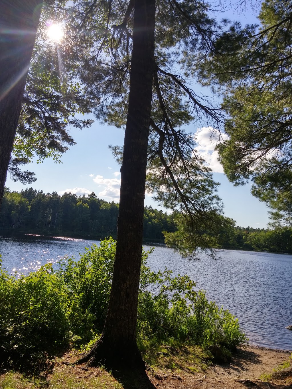 Falls Lake Provincial Park | Currys Corner, NS B0N 2T0, Canada