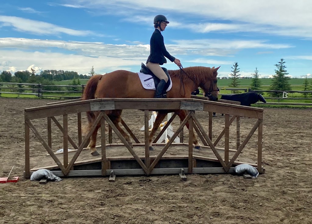 Kaspian Equestrian | Box 26 Site 7 RR3, Olds, AB T4H 1P4, Canada | Phone: (403) 556-3478