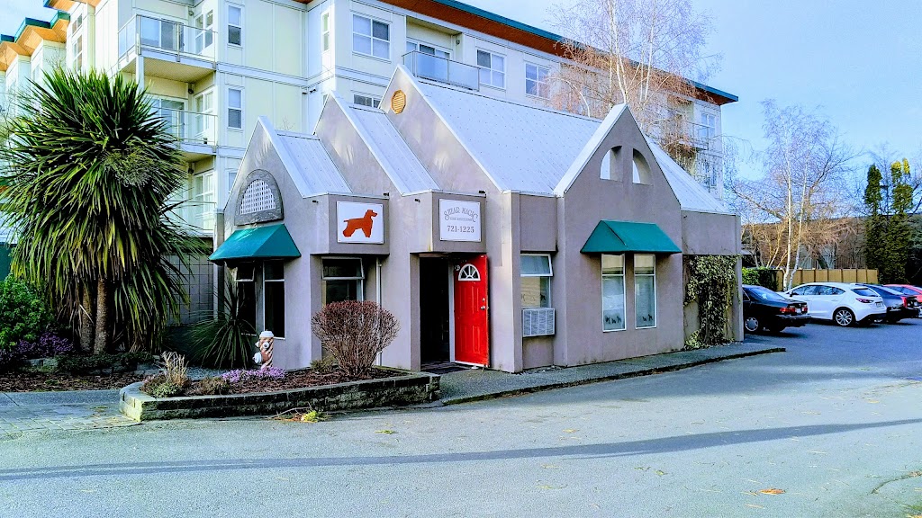 Shear Magic Dog Grooming | 1639 Ash Rd, Victoria, BC V8N 2T2, Canada | Phone: (250) 721-1225
