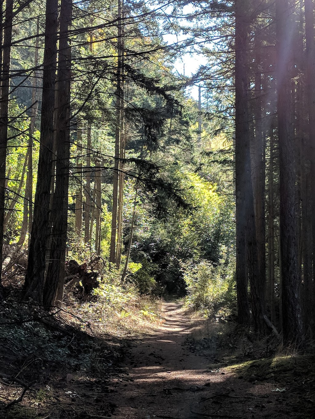 Baker Preserve Trail | Seacrest Dr, Lummi Island, WA 98262, USA