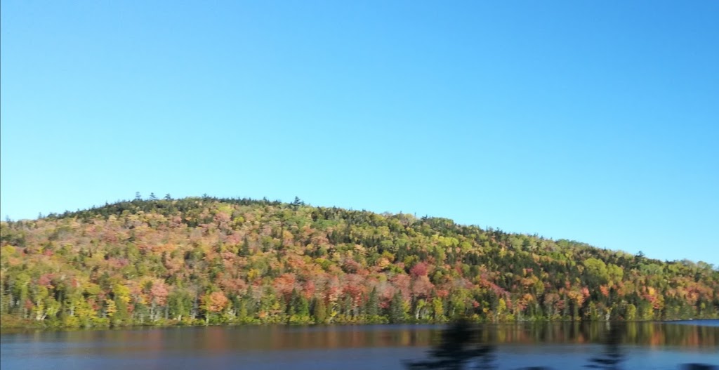 Jean Michel Simard | 2105 Route du Fleuve, Les Éboulements, QC G0A 2M0, Canada | Phone: (418) 635-1324
