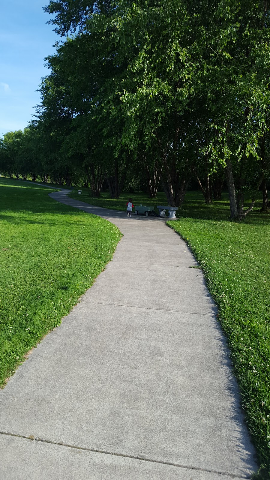 Sprague Brook County Park | 9674 Foote Rd, Glenwood, NY 14069, USA | Phone: (716) 592-2804