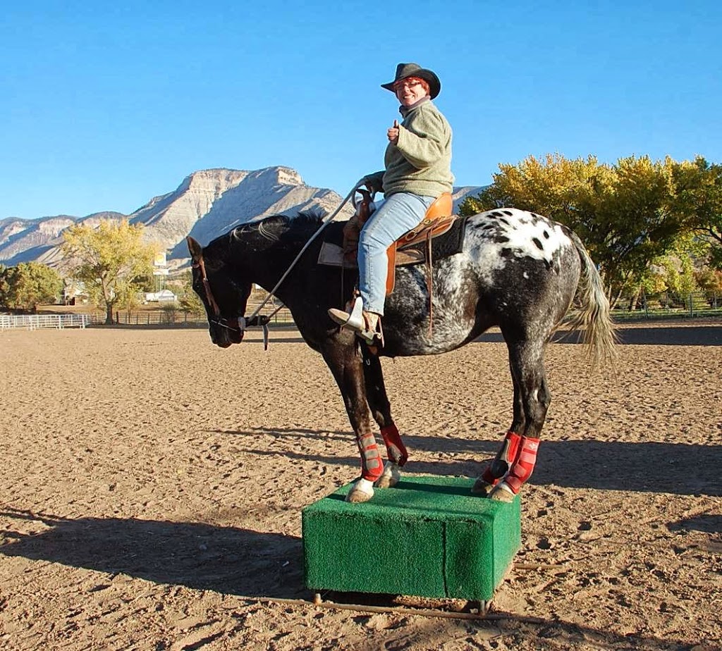 Two Minds - One Ride Horsemanship | 2058 Landry St, Clarence Creek, ON K0A 1N0, Canada | Phone: (819) 712-3565