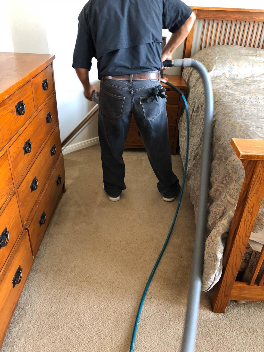 Aurora Carpet Cleaning | 74 Seaton Dr, Aurora, ON L4G 3X1, Canada | Phone: (647) 243-1153