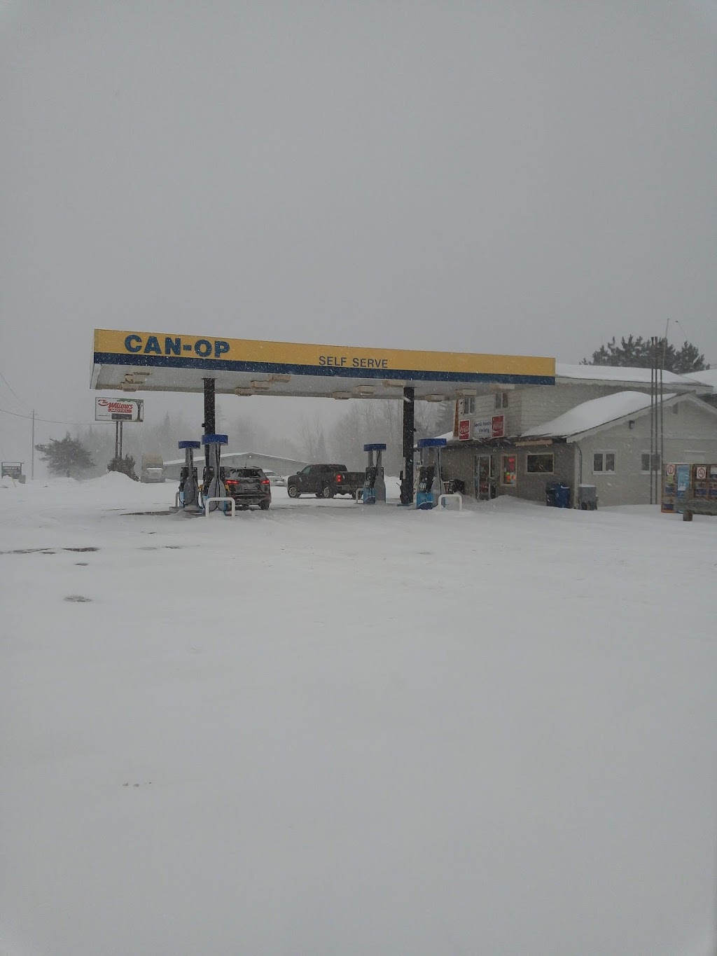 SOUTH NEERING VARIETY | 2060 Hwy 61, Thunder Bay, ON P7J 1M6, Canada | Phone: (807) 475-3712