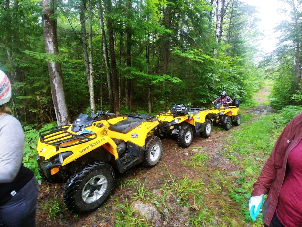 Mukwa Adventures | Espaniel Rd, Massey, ON P0P 1P0, Canada | Phone: (705) 208-0477