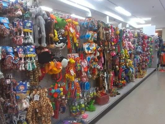 Mr. Pets | 201 Bewicke Ave, North Vancouver, BC V7M 3M7, Canada | Phone: (778) 340-1102