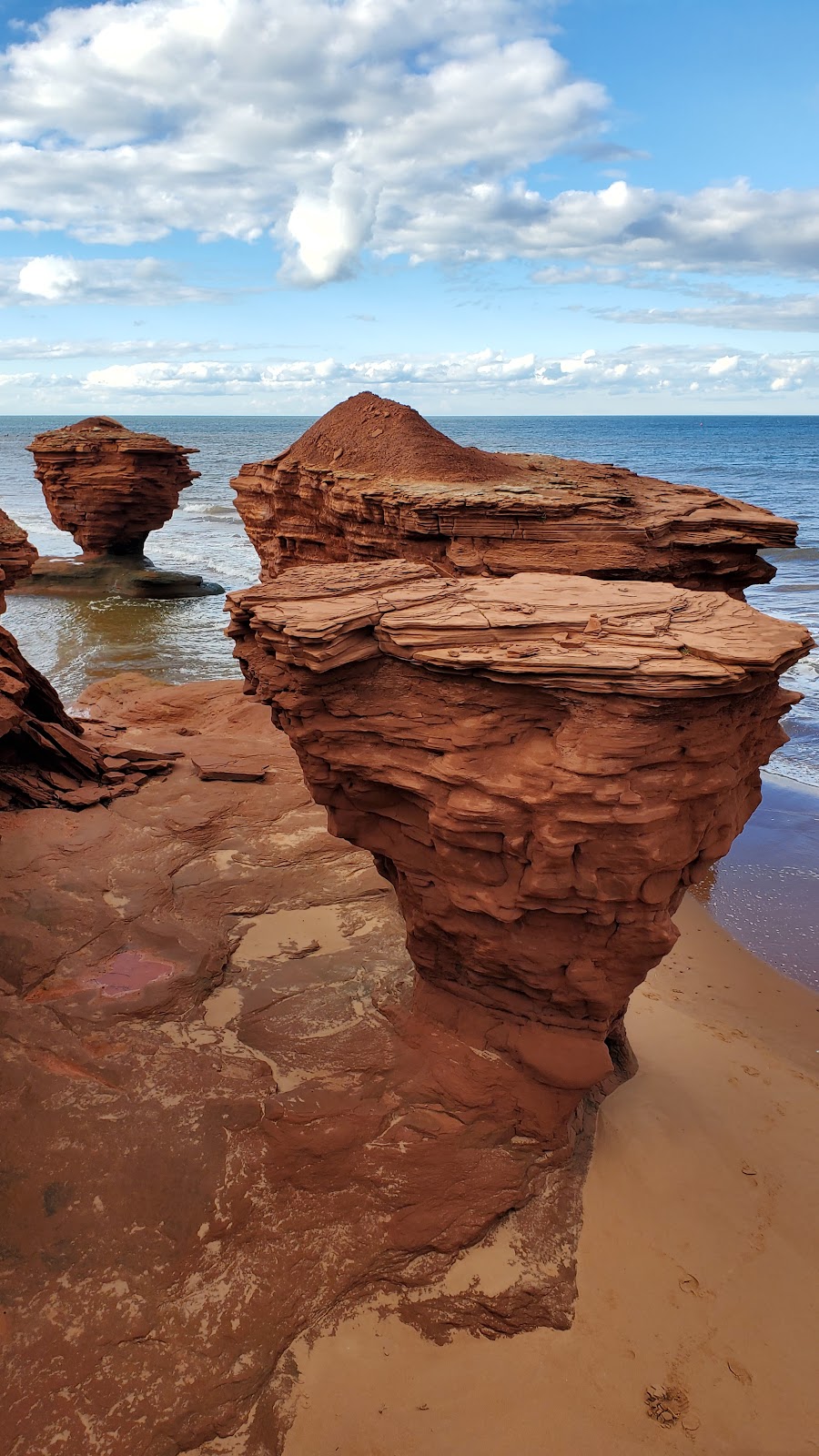 Island Enterprises | 94 Maplewood Dr, Summerside, PE C1N 5E6, Canada | Phone: (226) 213-1967