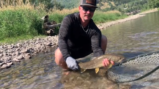 FREESTONE FLY ANGLER | GUIDING FLY FISHING TRIPS ON THE ELK AND COLUMBIA RIVERS, 100 Riverside Way, Fernie, BC V0B 1M0, Canada | Phone: (406) 672-7386