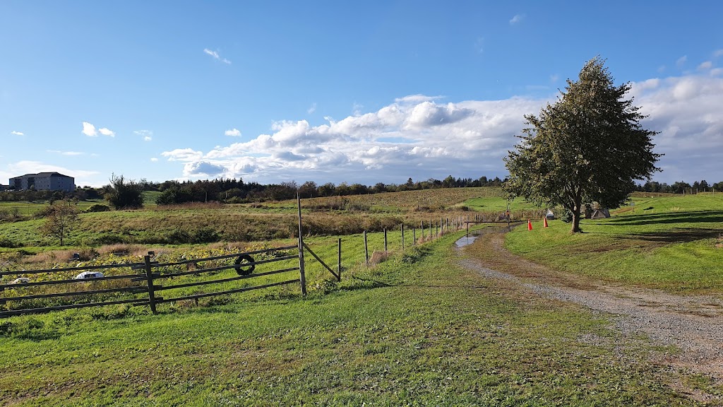 Howard Dill Enterprises | 400 College Rd, Windsor, NS B0N 2T0, Canada | Phone: (902) 798-2728