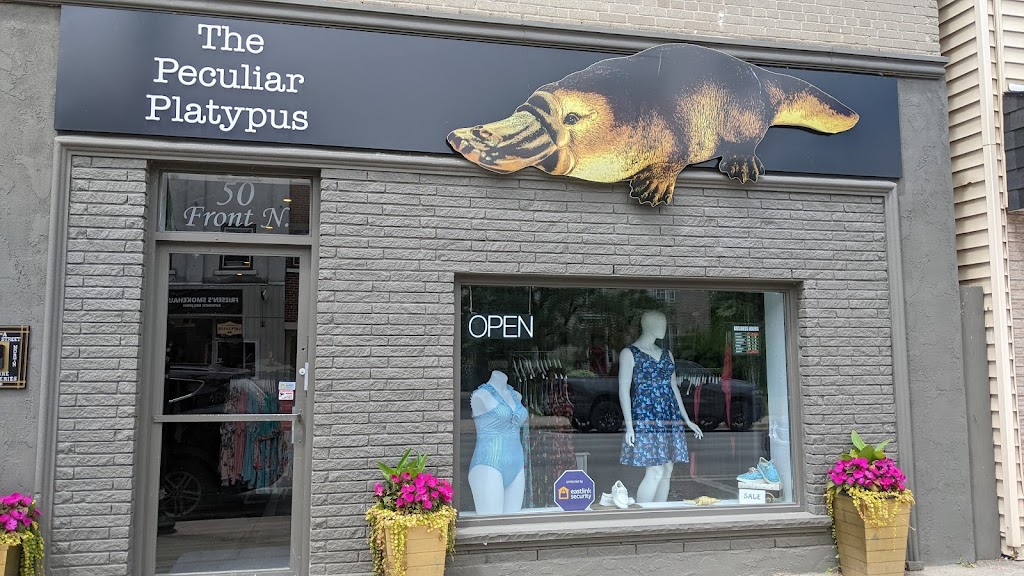 The Peculiar Platypus | 50 Front St N, Campbellford, ON K0L 1L0, Canada | Phone: (705) 947-2247