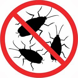 Scientific Pest Control Inc. | 4415 Bow Trail SW #4, Calgary, AB T3C 2N7, Canada | Phone: (587) 432-0154