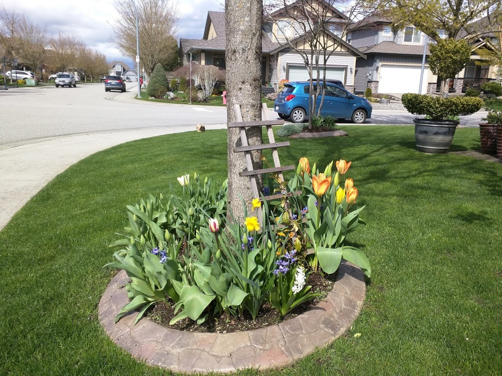 Hartnell Park | 7065 195 St, Surrey, BC V4N, Canada