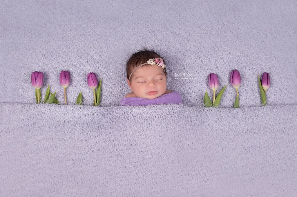 Born For Photography | 9 Bluff Trail, Nobleton, ON L7B 0A2, Canada | Phone: (416) 520-5855