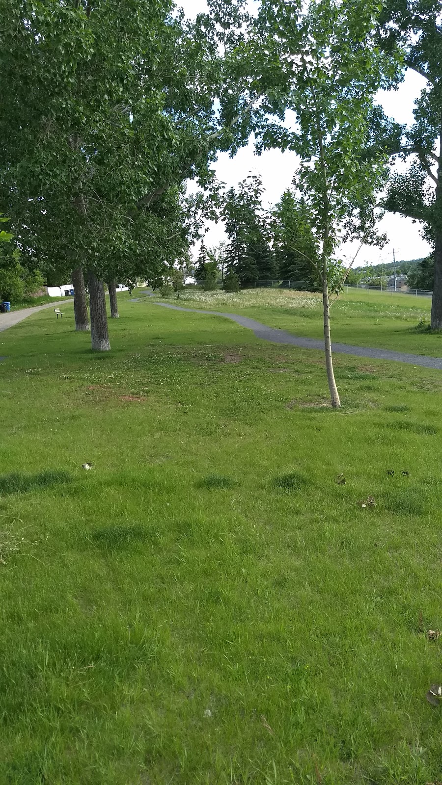 Fairview Off Leash Dog Area | 7532-7800 Flint Rd SE, Calgary, AB T2H 1G3, Canada | Phone: (403) 268-5861