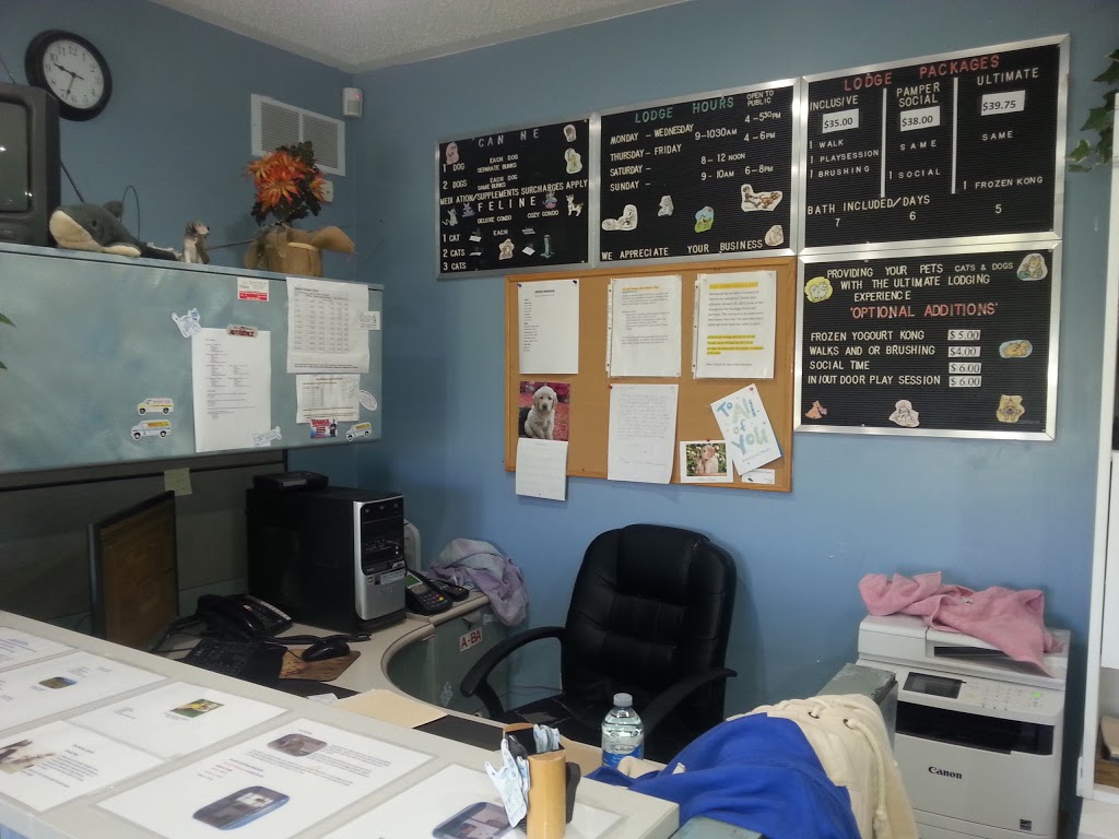 Pampered Pet Lodge | 6831 Line 6, Tottenham, ON L0G 1W0, Canada | Phone: (905) 936-6214