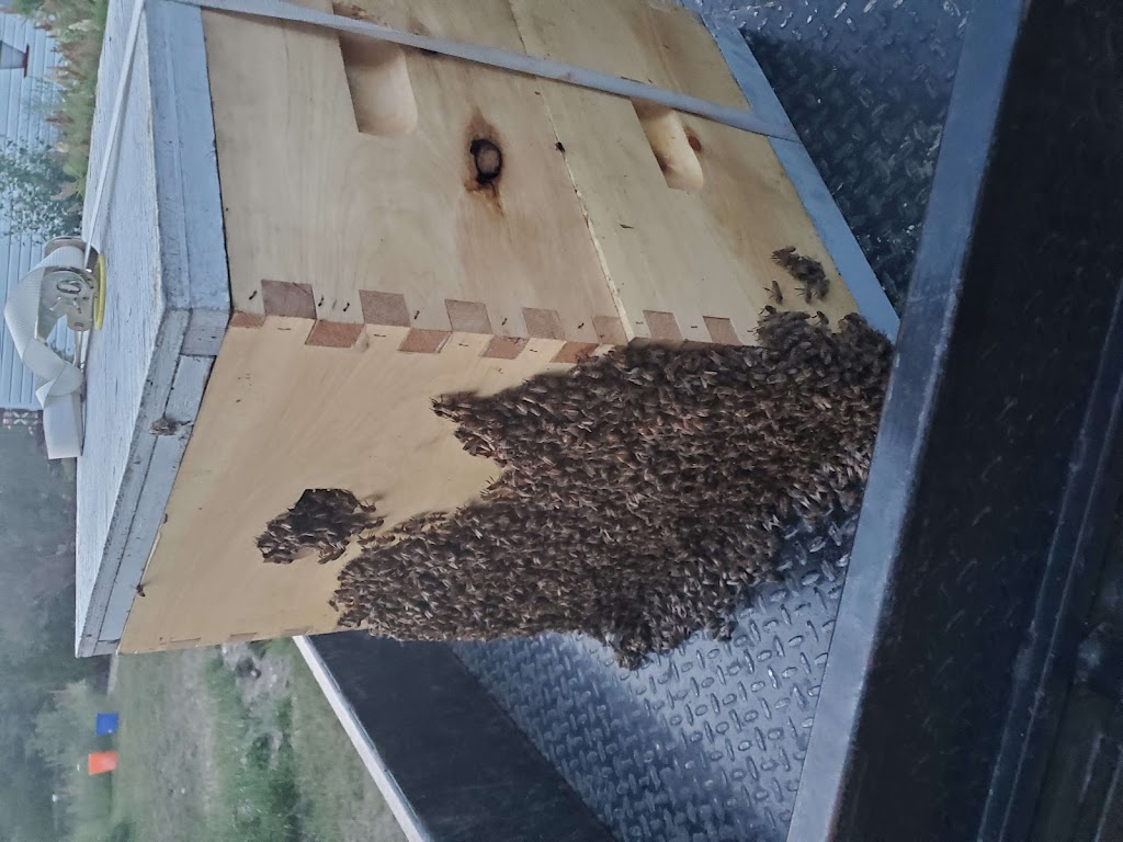 Sandilands Apiary | 48112 Provincial Trunk Hwy 12, Zhoda, MB R0A 2P0, Canada | Phone: (204) 408-4250