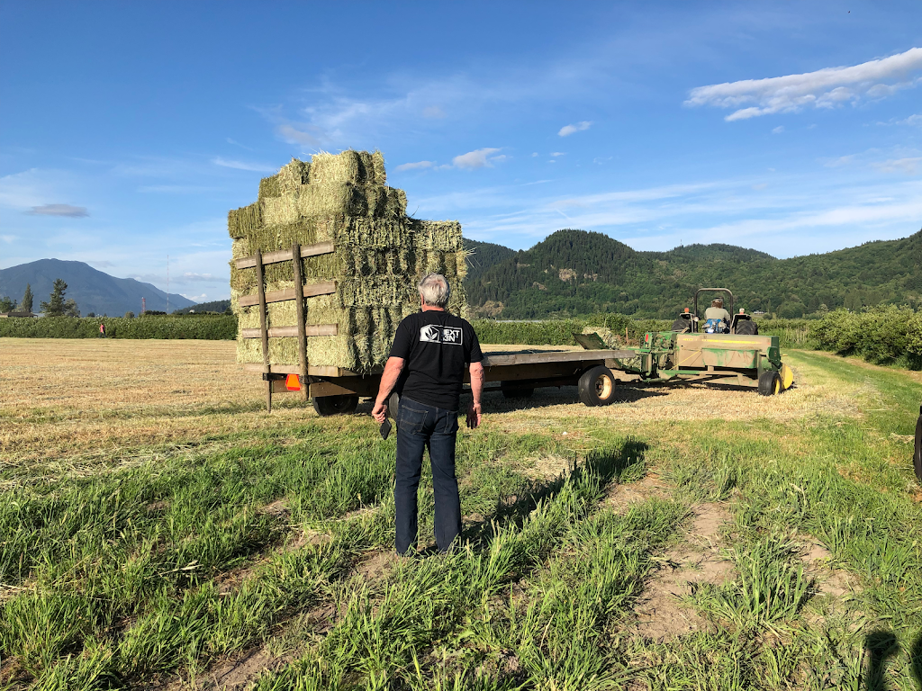 Matsqui Blue Farms | 34621 Hallert Rd, Abbotsford, BC V3G 1R3, Canada | Phone: (604) 859-8918