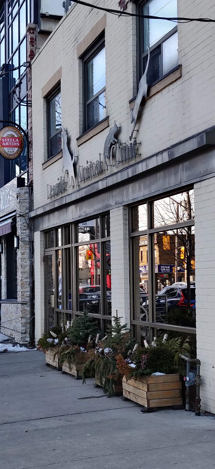 Leaside Animal Clinic | 1662 Bayview Ave, Toronto, ON M4G 3C2, Canada | Phone: (416) 481-1127