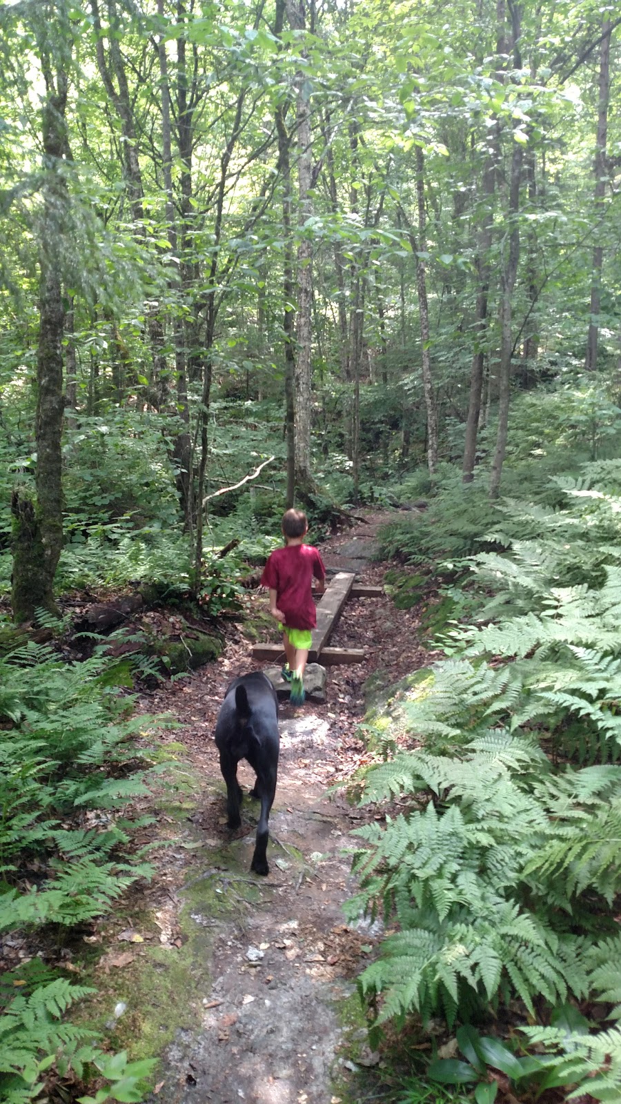 Edens Crossing Long Trail Parking Lot | 4731 Belvidere Rd, Eden, VT 05652, USA