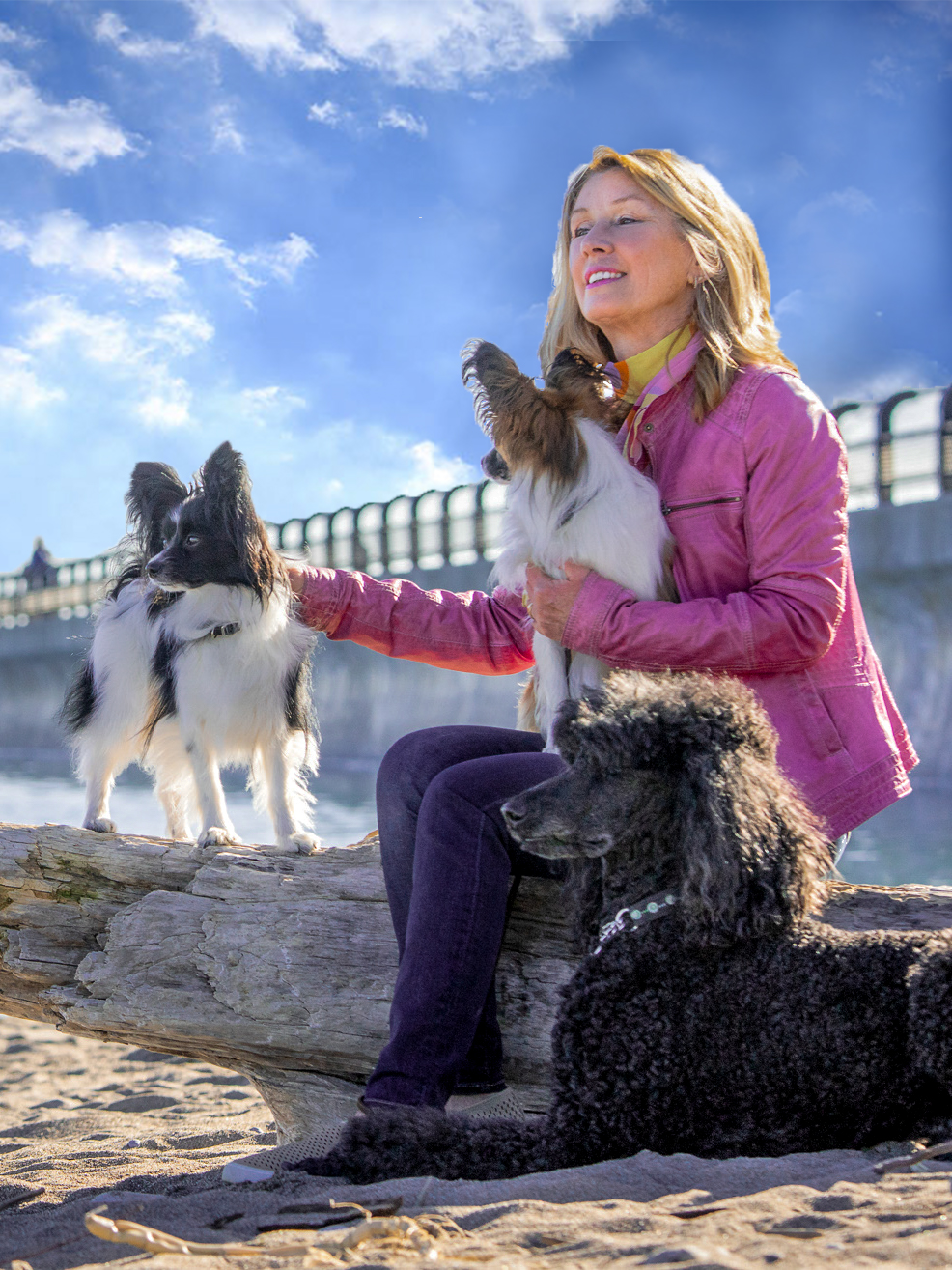 Canine Behaviour Therapy | 31 Fallingbrook Dr, 1 Laidlaw Blvd, Markham, ON M1N 1B5, Canada | Phone: (647) 883-1597