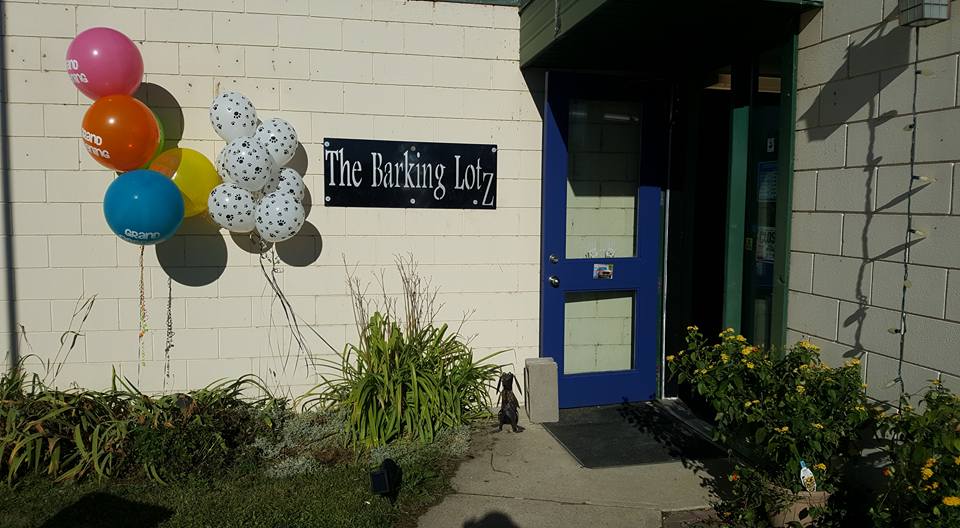 ​The Barking Lotz Ltd. | 22106 S Cooking Lake Rd suite 2, Sherwood Park, AB T8E 1J1, Canada | Phone: (780) 686-5601