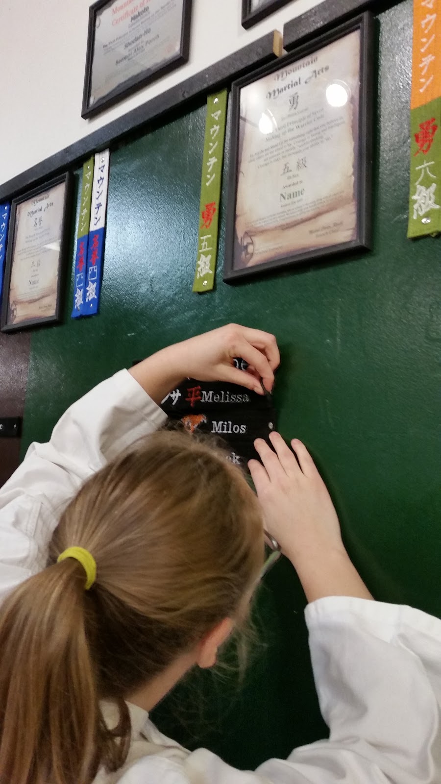 Mountain Martial Arts | 290 Barton St, Stoney Creek, ON L8E 2K6, Canada | Phone: (905) 664-6313