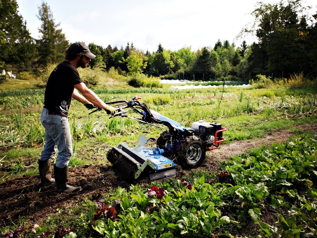Ferme le Jardinier déchaîné | 429 QC-253, Cookshire-Eaton, QC J0B 1M0, Canada | Phone: (819) 875-1683