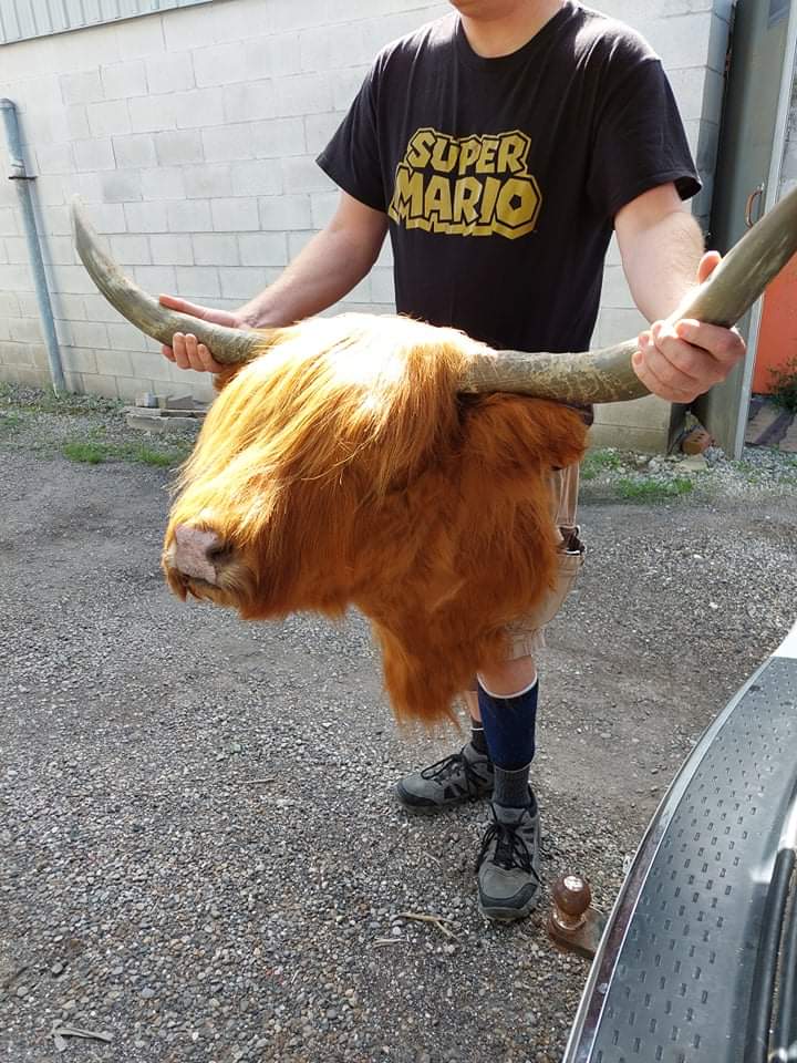 Forest City Taxidermy | 245 Hamilton Crescent, Dorchester, ON N0L 1G4, Canada | Phone: (519) 520-3024