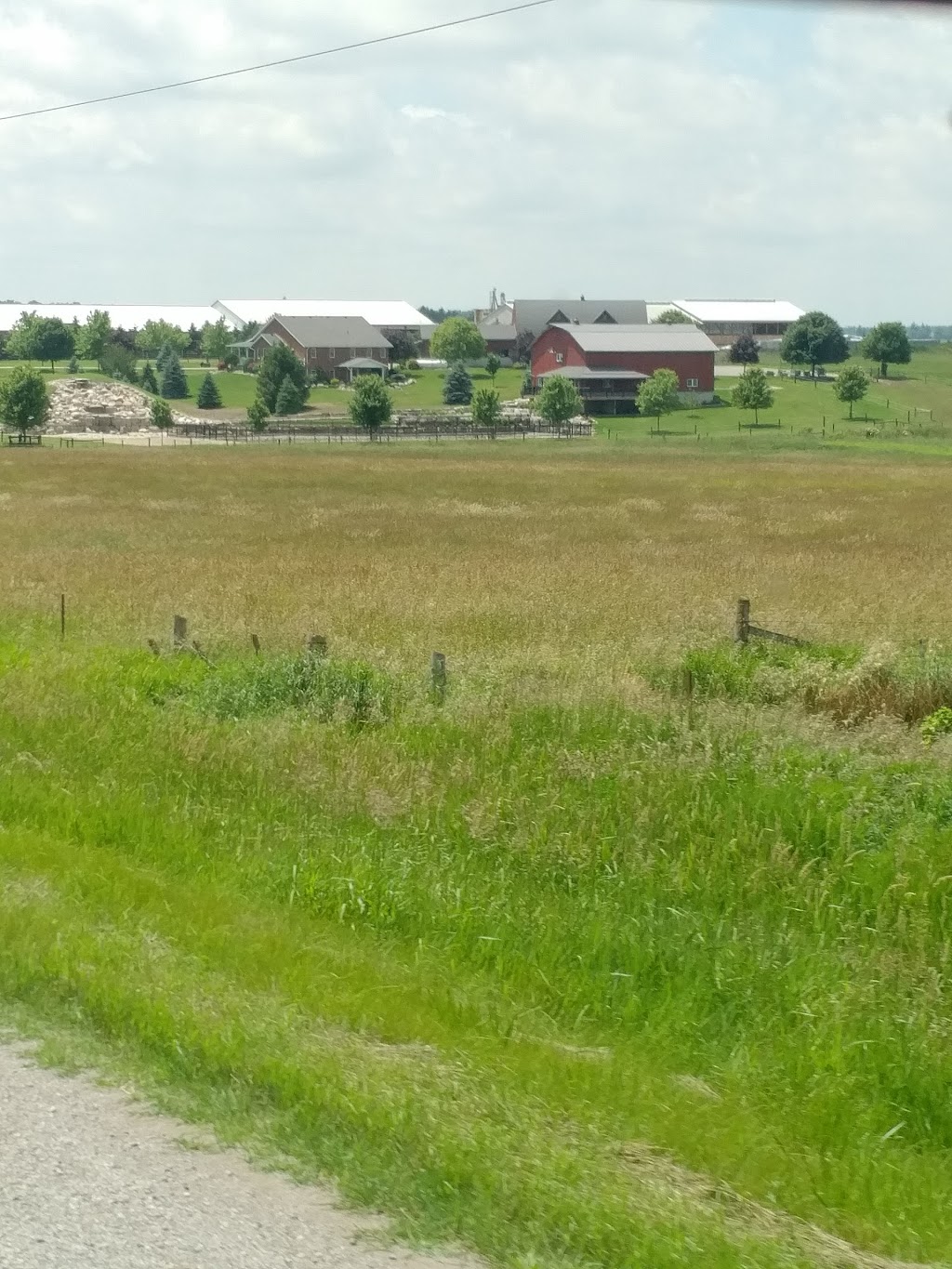 Huronway Farms | 84483 McNaught Line, Brussels, ON N0G 1H0, Canada | Phone: (519) 887-6181
