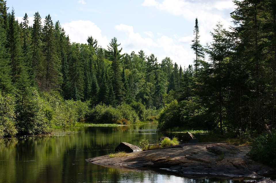 Madawaska Shores | 900 Mill Ridge Rd, Arnprior, ON K7S 3G8, Canada | Phone: (613) 737-5337