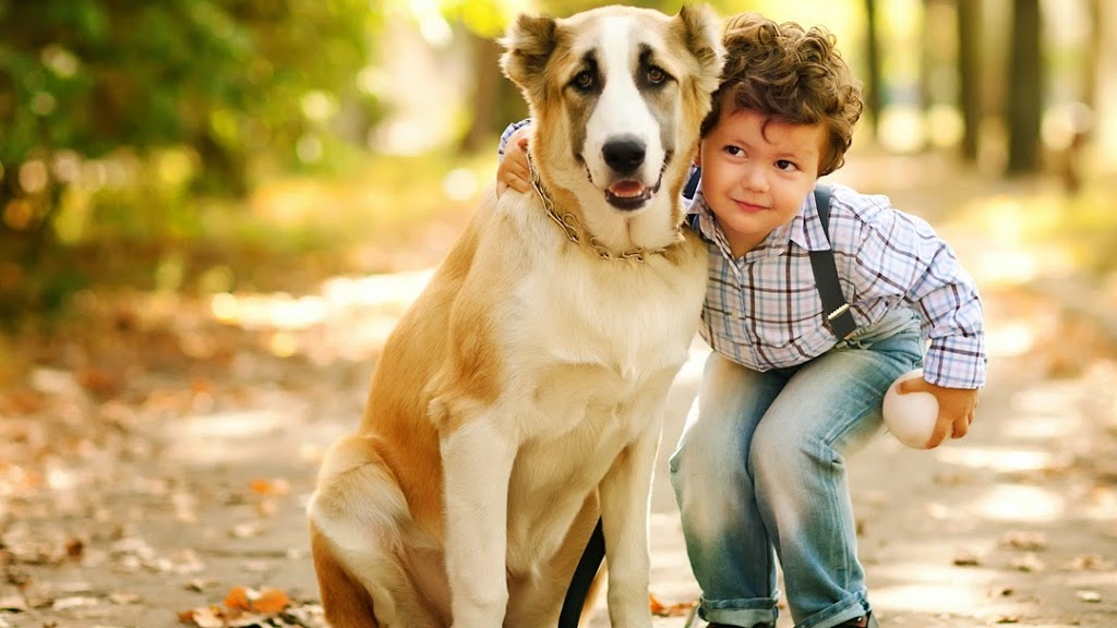 Rutherford Veterinary Clinic | 11464 17 Ave SW, Edmonton, AB T6W 2S5, Canada | Phone: (780) 761-0350