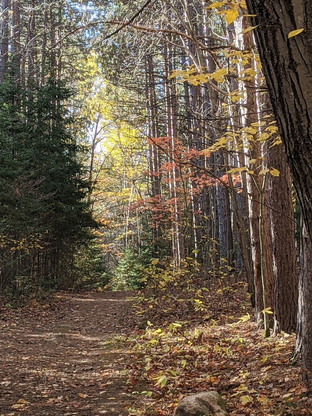 Pam Kelly Photography | 103 Ottawa Ave, South River, ON P0A 1X0, Canada | Phone: (705) 471-9014